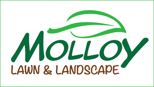 Molloy Lawn & Landscape