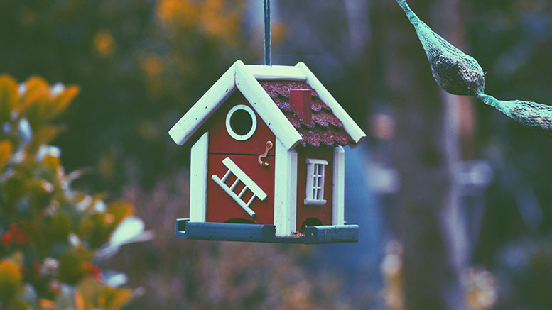 birdhouse