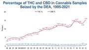 A line graph shows the percentage of THC and CBD in cannabis samples seized by the DEA from 1995 to 2021. THC % rises from 3.55 in 1995 to 15.34 in 2021 while CBD % fluctuates around 1%. Meanwhile, Milton High students earn special treats for their Mental Health Awareness efforts.