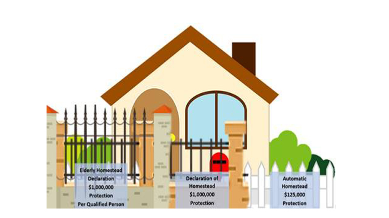 Illustration of a house with three signs: "Elderly Homestead Declaration $1,000,000 Protection Per Qualified Person," "Declaration of Homestead $1,000,000 Protection," and "Automatic Homestead $125,000 Protection," highlighted in Norfolk County's top real estate deals of Q2 2024: Luxury properties.