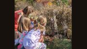 Four children crouch in a grassy area, imagining fairies in the foliage as they gaze intently at a small makeshift structure on the ground, surrounded by dried plants. Consider exploring similar wonders at the Eustis Estate during their self-guided tours from Nov. 5-12.