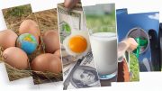 A collage displaying eggs with a globe, money paired with a fried egg, and a hand pouring milk from a fuel nozzle reflects the fluctuating rates of average costs.