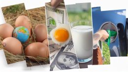 A collage displaying eggs with a globe, money paired with a fried egg, and a hand pouring milk from a fuel nozzle reflects the fluctuating rates of average costs.