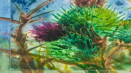 Displayed at the Wotiz Gallery's "From the Beginning: A Journey in the Visual Arts" exhibit this January, this vibrant watercolor painting showcases green and purple thistles with sharp leaves against a blue and green background, perfectly evoking a natural, outdoor setting.