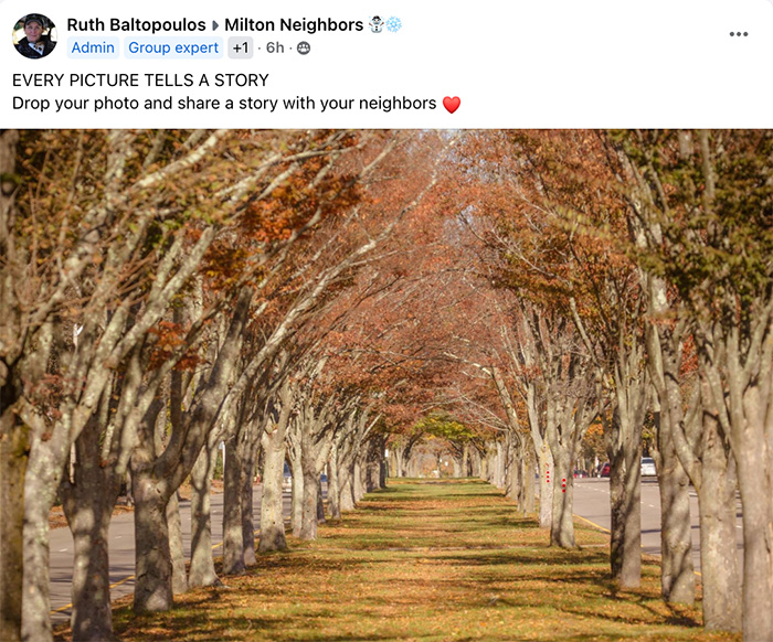 A tree-lined path in Milton showcases vibrant fall foliage, flanked by sidewalks and roads, creating a picturesque route favored by locals and Milton Neighbors alike.